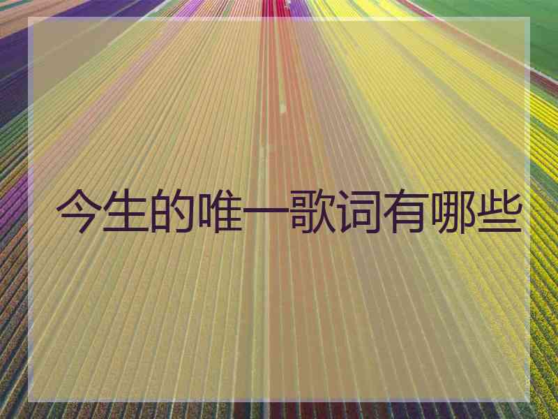 今生的唯一歌词有哪些
