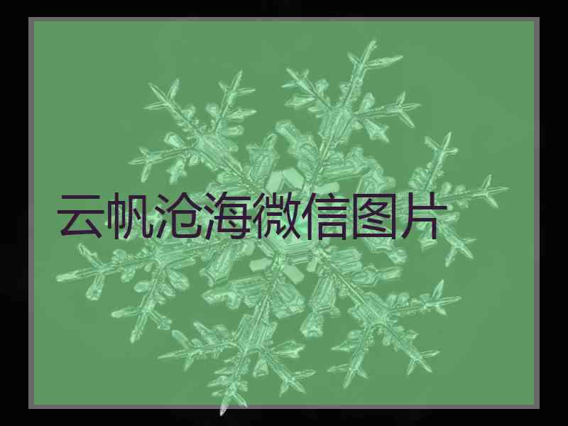云帆沧海微信图片