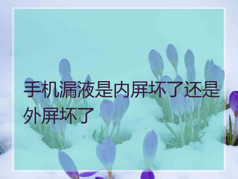 手机漏液是内屏坏了还是外屏坏了