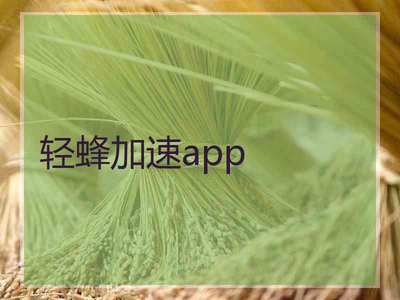 轻蜂加速app