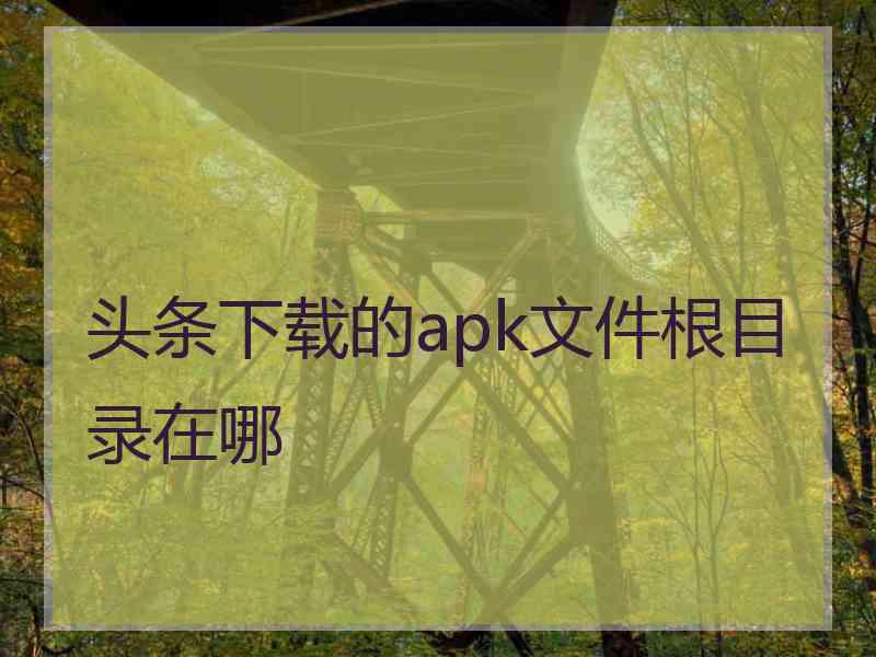 头条下载的apk文件根目录在哪