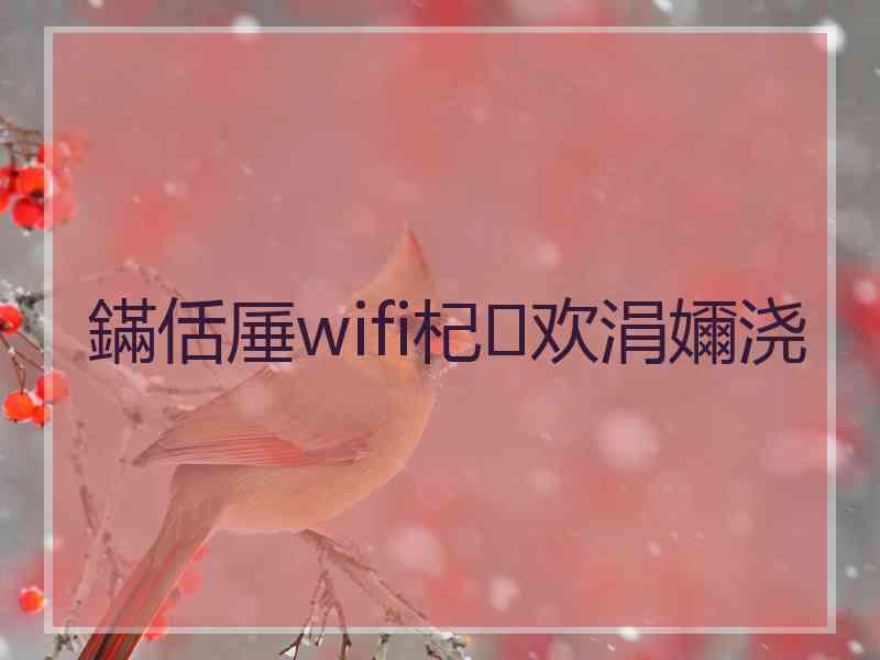 鏋佸厜wifi杞欢涓嬭浇