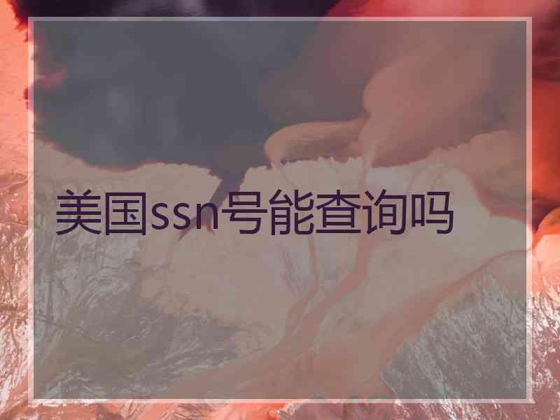 美国ssn号能查询吗
