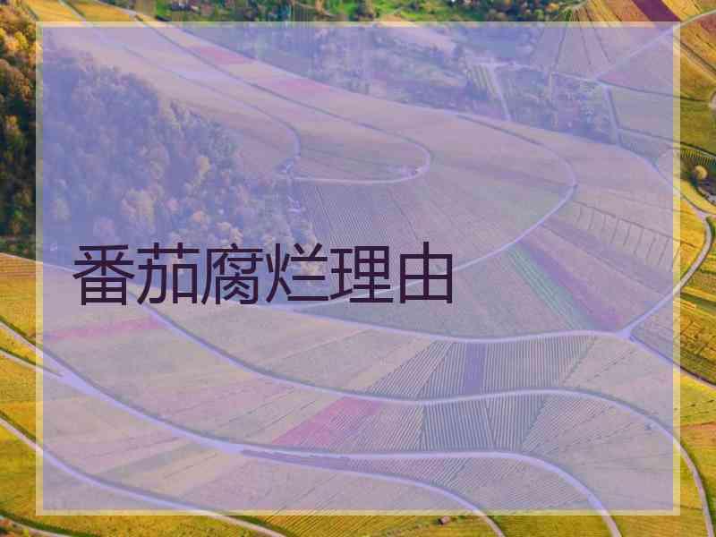 番茄腐烂理由