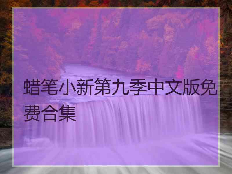 蜡笔小新第九季中文版免费合集