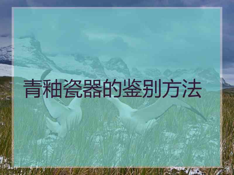 青釉瓷器的鉴别方法