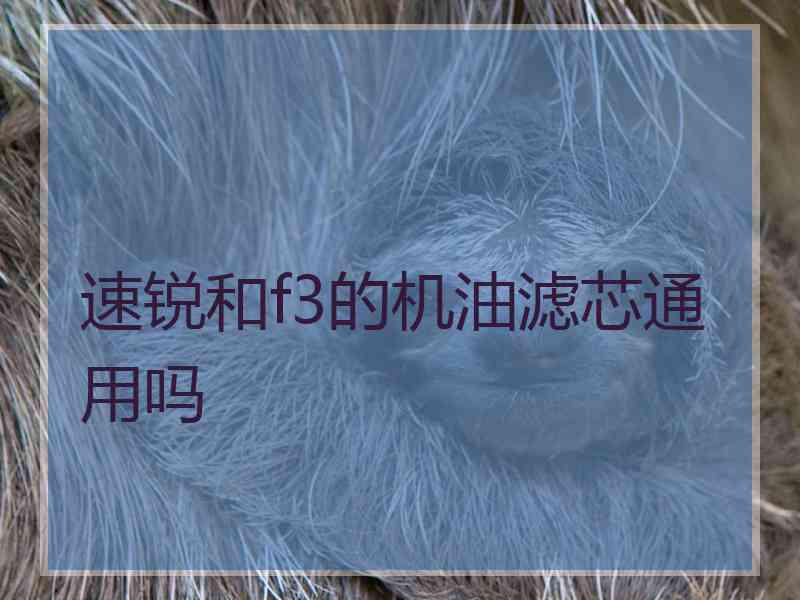 速锐和f3的机油滤芯通用吗