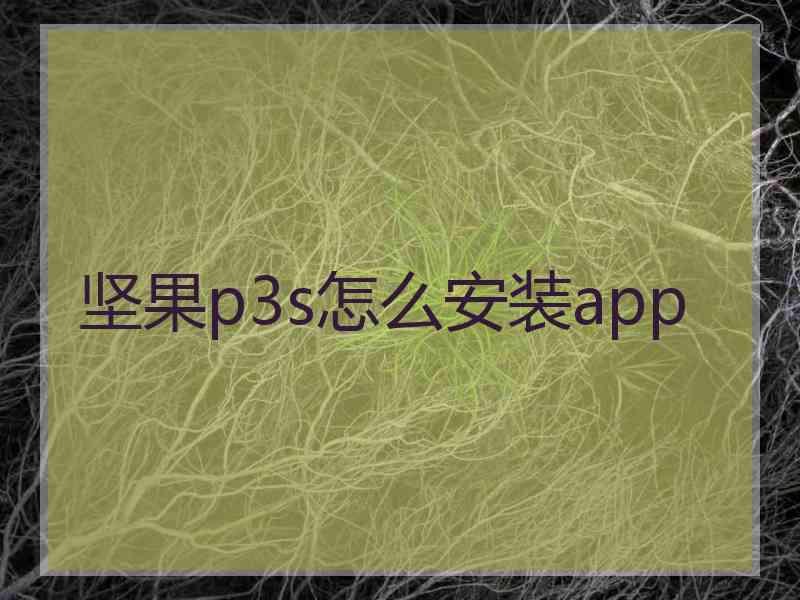 坚果p3s怎么安装app