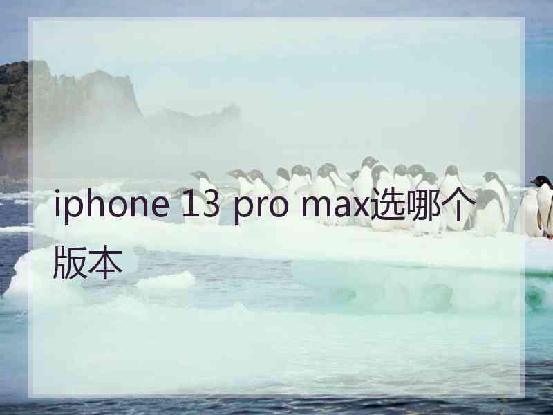 iphone 13 pro max选哪个版本