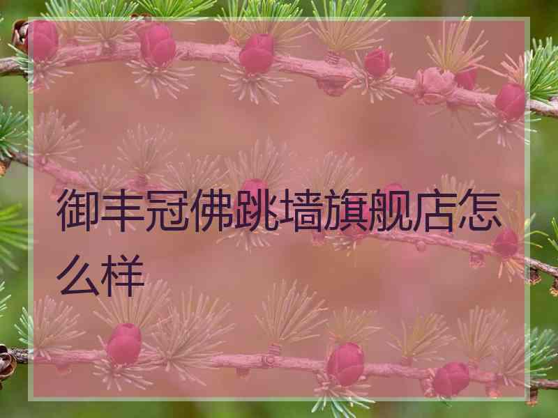 御丰冠佛跳墙旗舰店怎么样