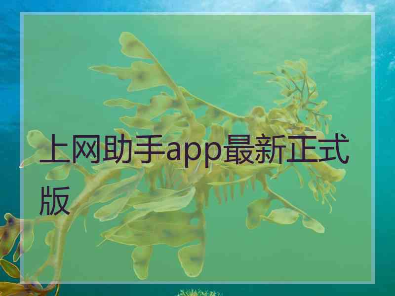 上网助手app最新正式版