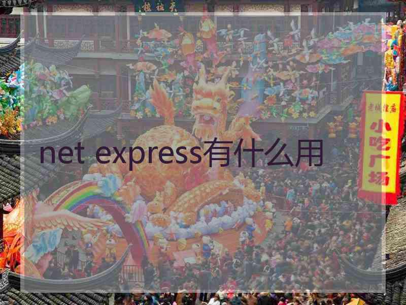 net express有什么用