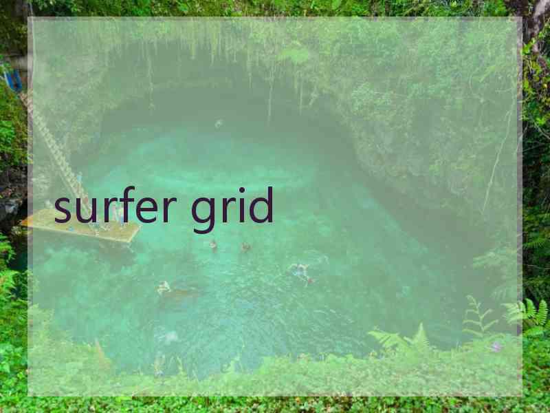 surfer grid