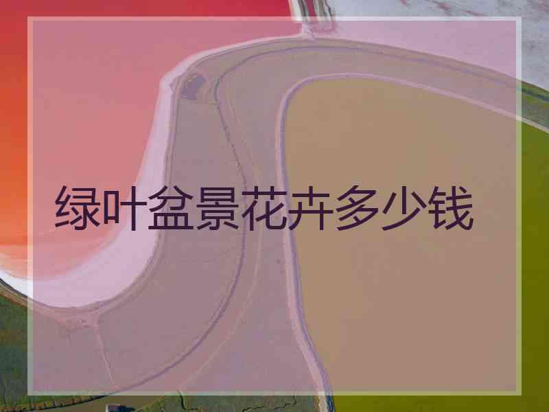 绿叶盆景花卉多少钱