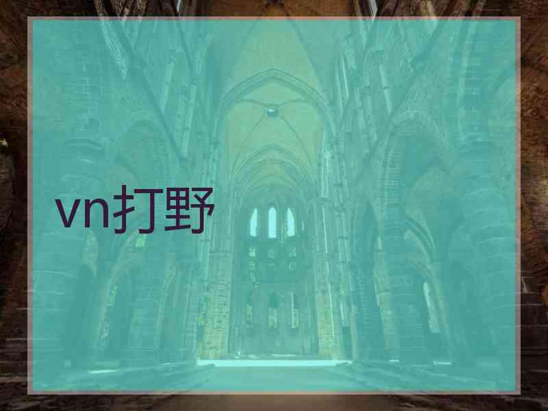 vn打野