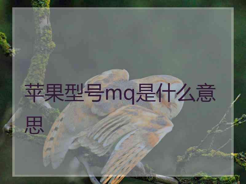 苹果型号mq是什么意思