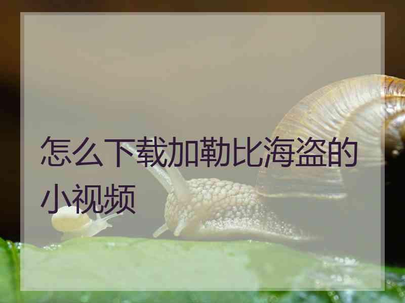 怎么下载加勒比海盗的小视频