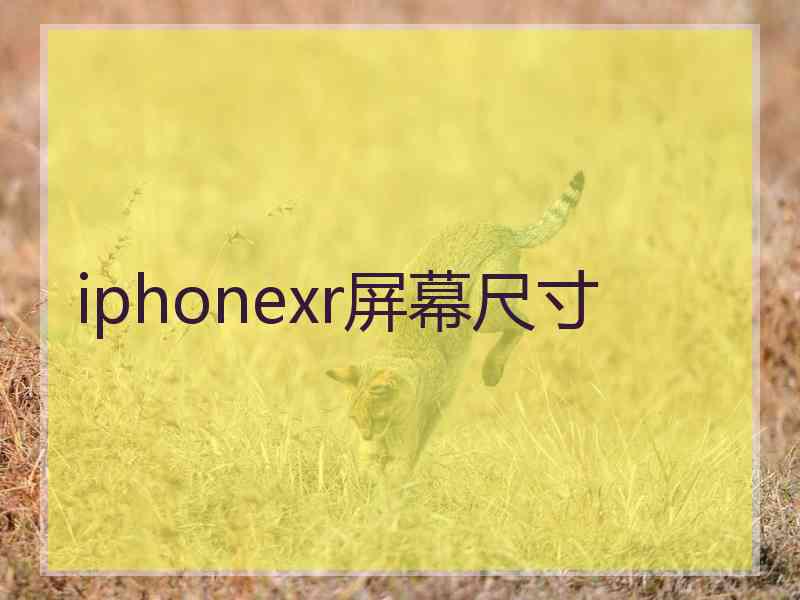 iphonexr屏幕尺寸