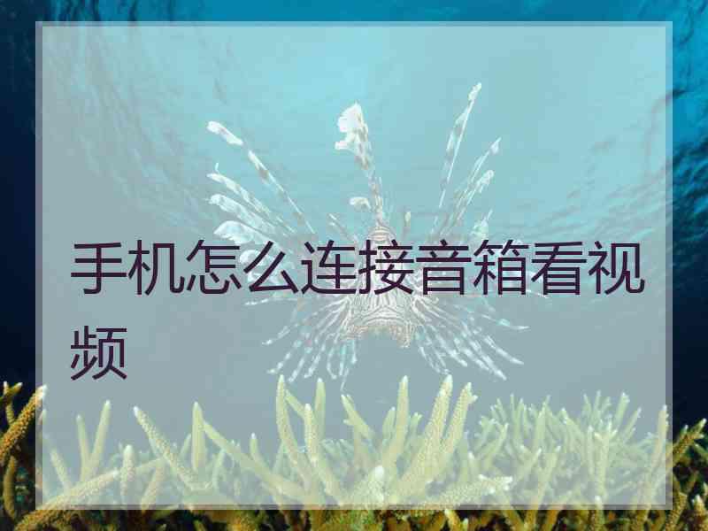 手机怎么连接音箱看视频