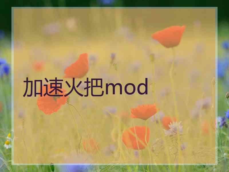 加速火把mod
