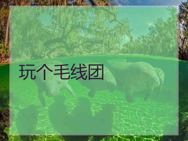 玩个毛线团