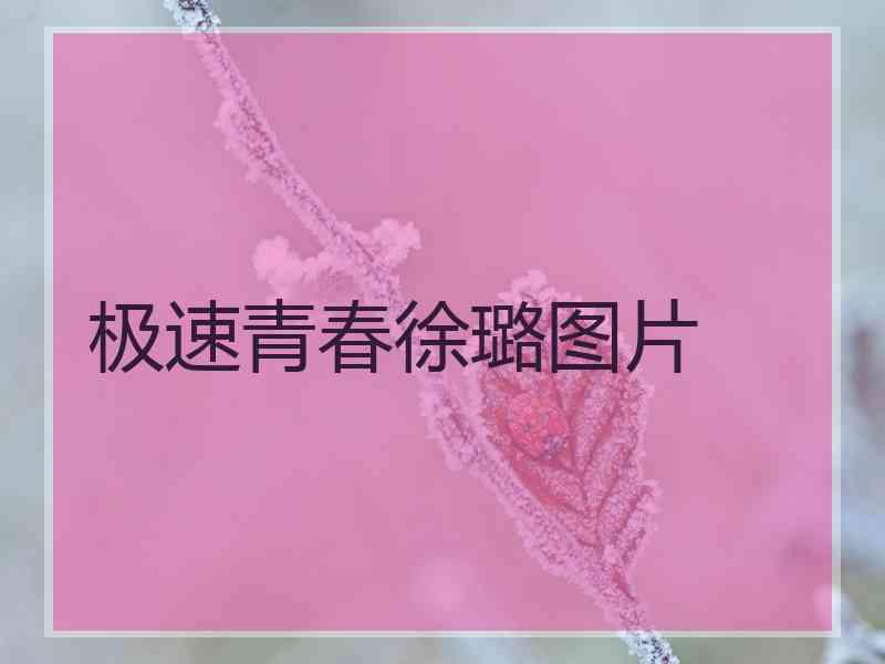 极速青春徐璐图片