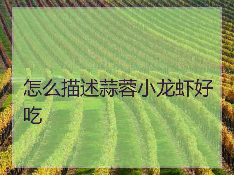 怎么描述蒜蓉小龙虾好吃