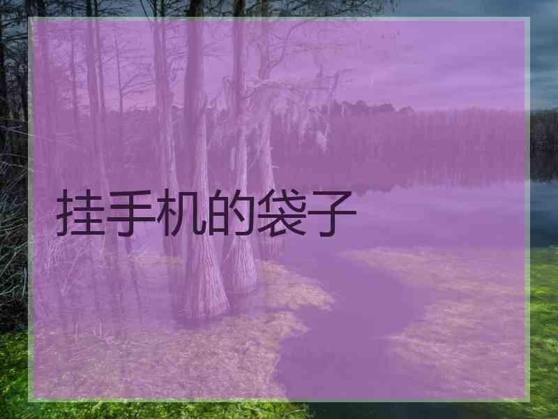 挂手机的袋子