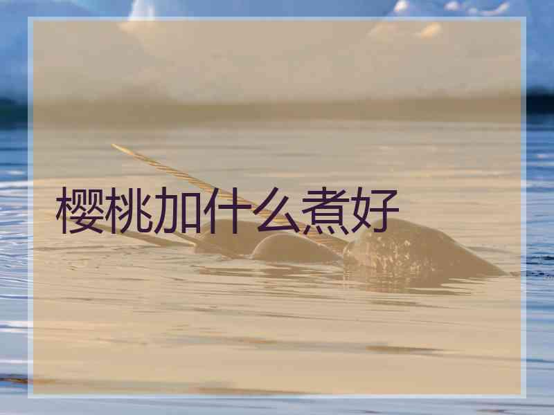 樱桃加什么煮好