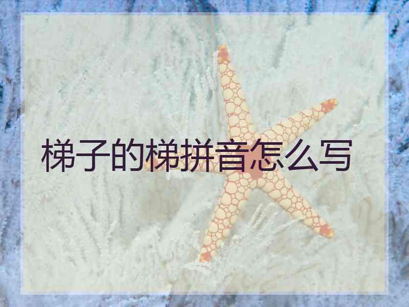 梯子的梯拼音怎么写