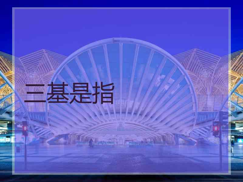 三基是指