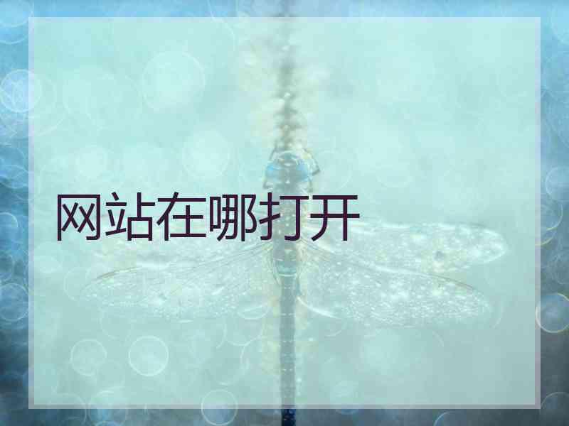网站在哪打开