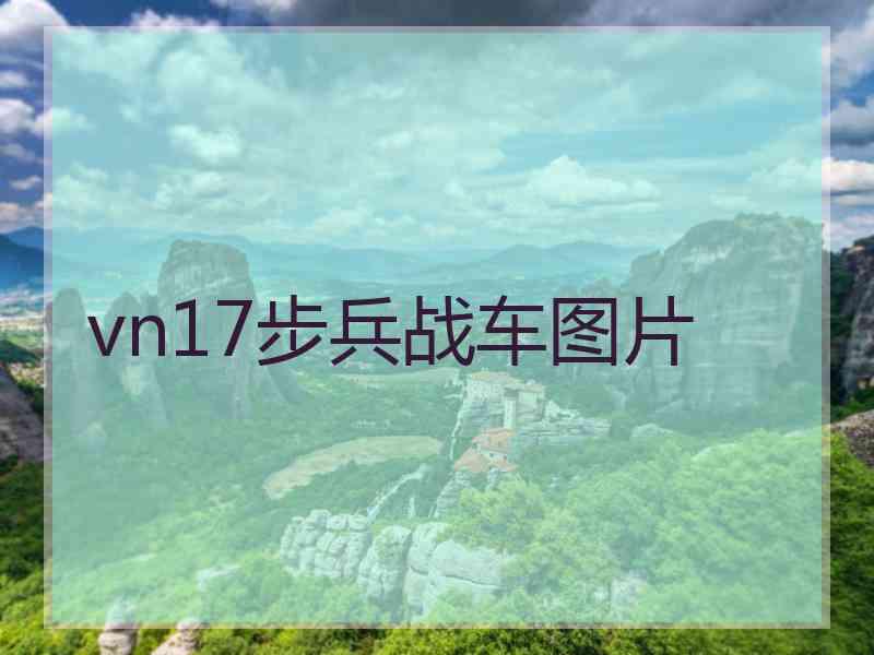 vn17步兵战车图片