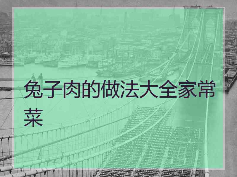 兔子肉的做法大全家常菜