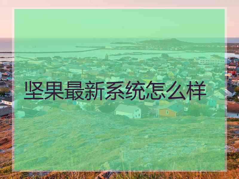 坚果最新系统怎么样