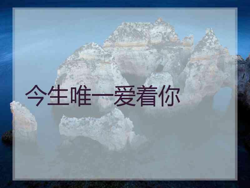 今生唯一爱着你