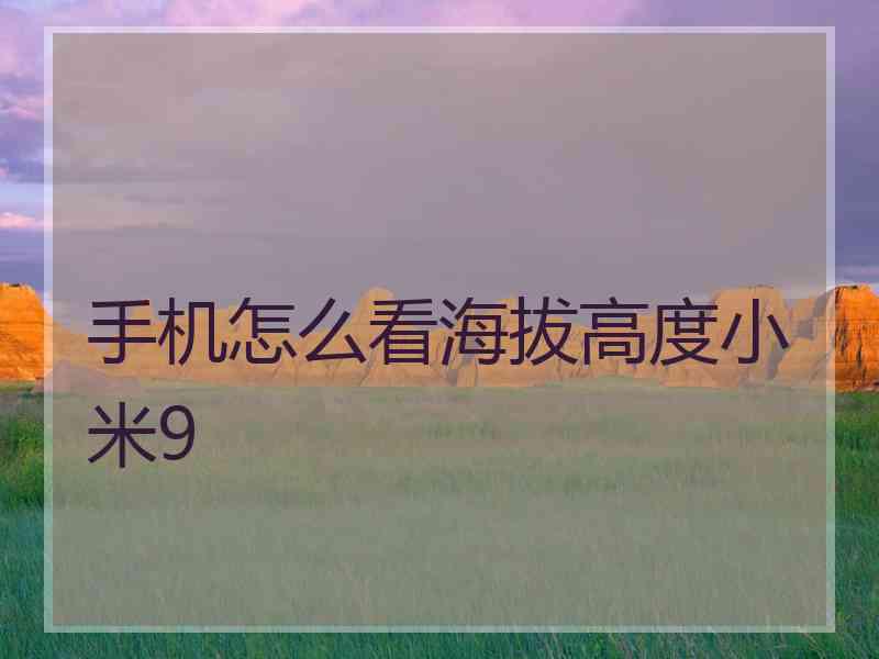 手机怎么看海拔高度小米9