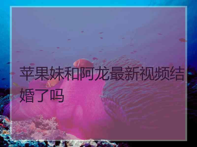 苹果妹和阿龙最新视频结婚了吗