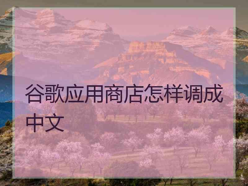 谷歌应用商店怎样调成中文