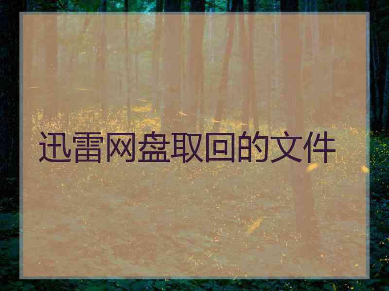 迅雷网盘取回的文件