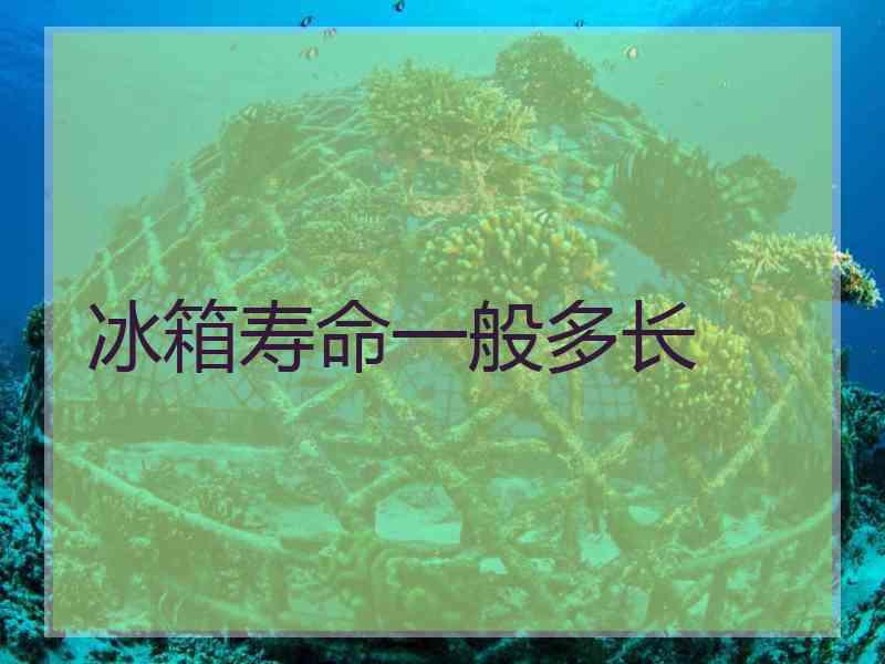冰箱寿命一般多长