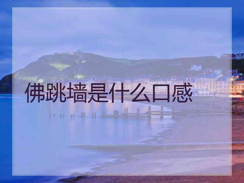 佛跳墙是什么口感