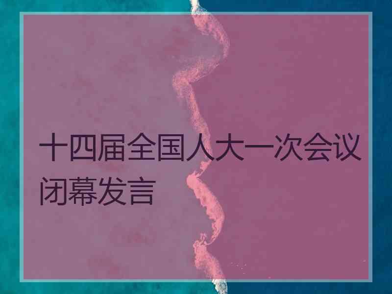 十四届全国人大一次会议闭幕发言