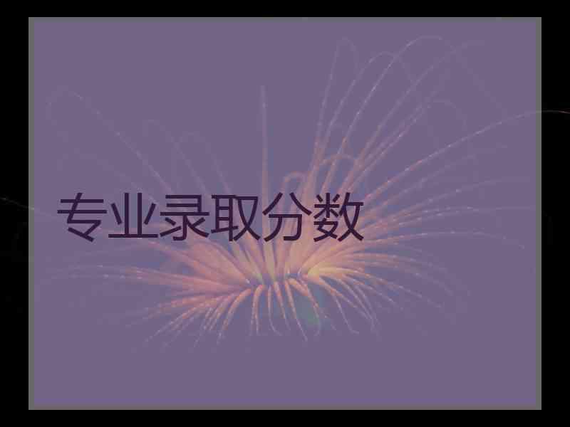 专业录取分数