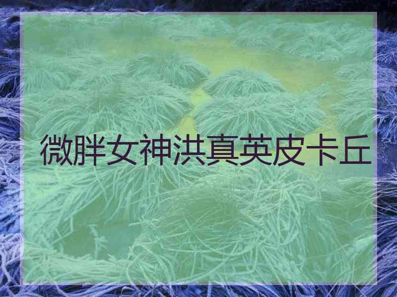 微胖女神洪真英皮卡丘