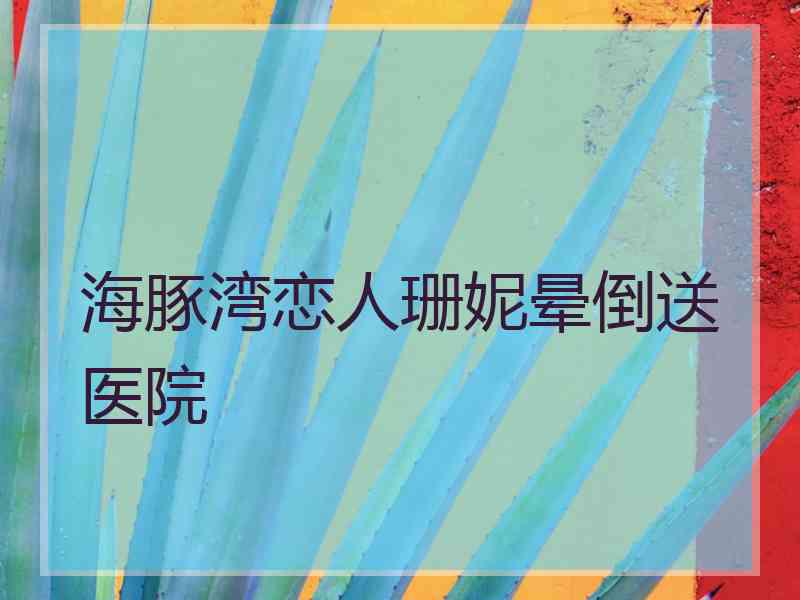海豚湾恋人珊妮晕倒送医院