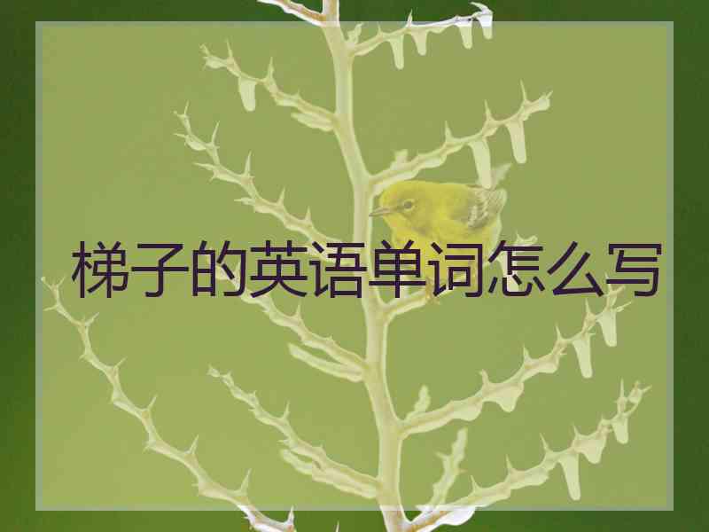 梯子的英语单词怎么写