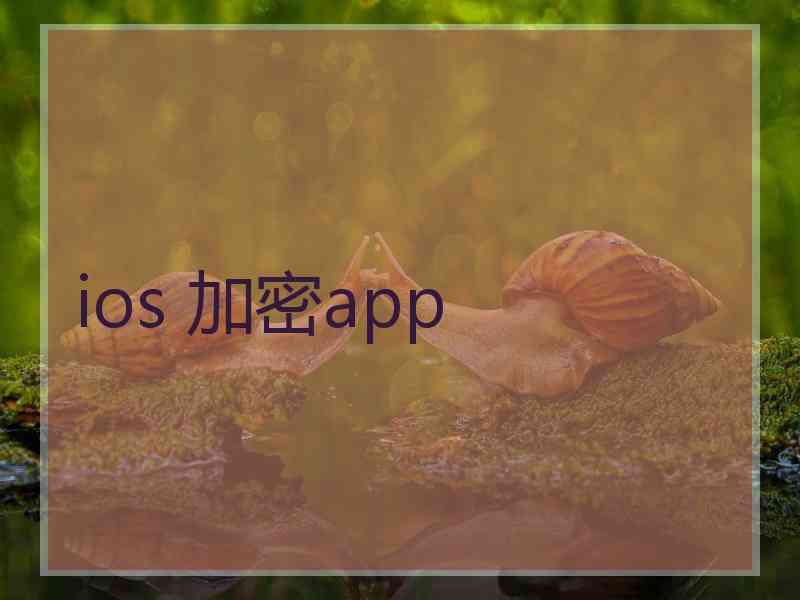 ios 加密app