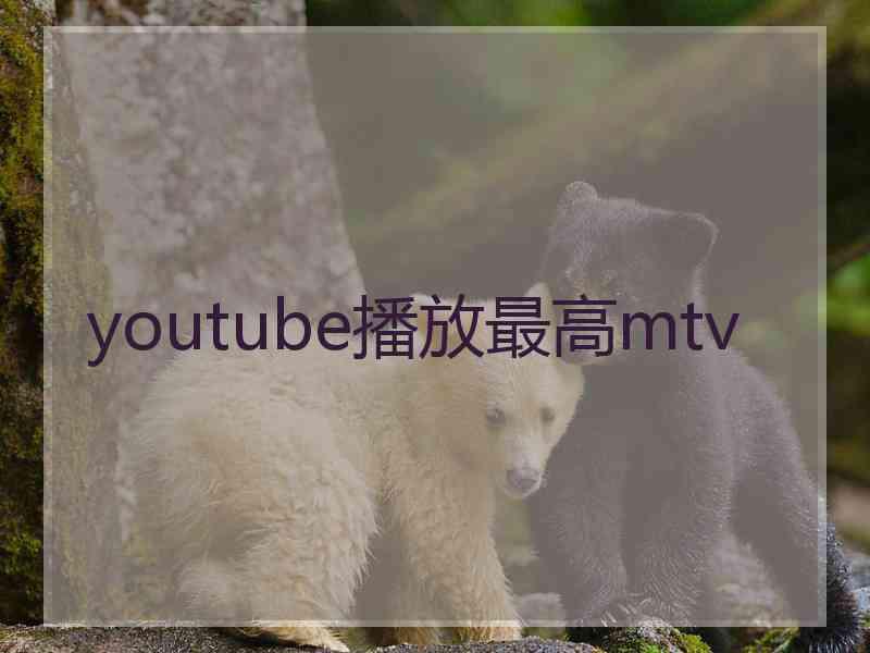 youtube播放最高mtv