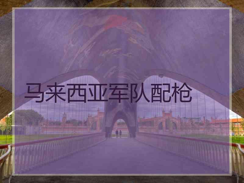 马来西亚军队配枪